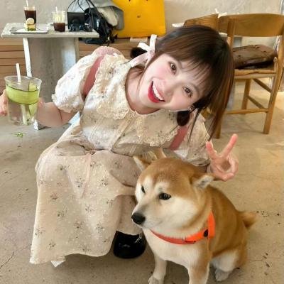 龙的传人